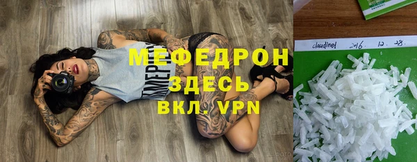 индика Беломорск